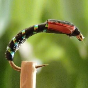 Epoxy buzzer 2 noir - rouge