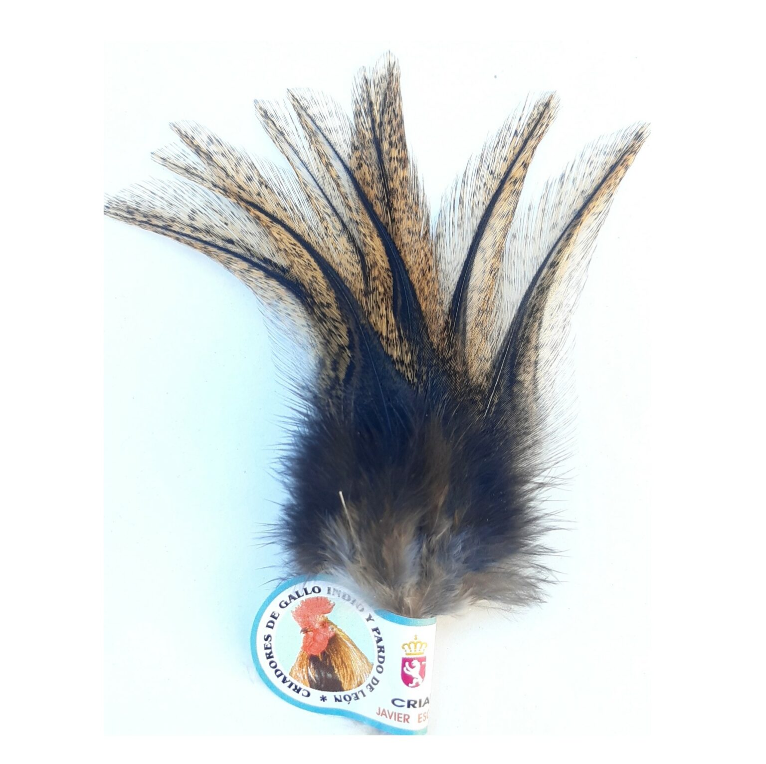 Plumes de cou de coq (hackles) FLY SYSTEM