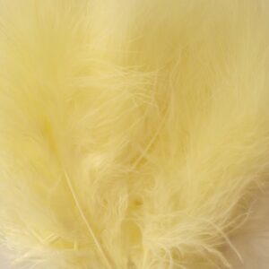 Marabout blanc jaune