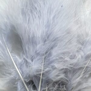 Marabout blanc cendré