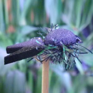 Alevin flottant noir