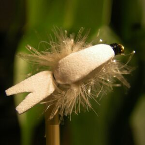 Alevin flottant blanc