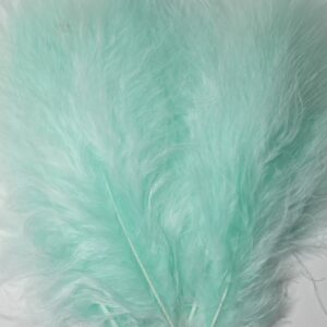 Marabout bleu menthe