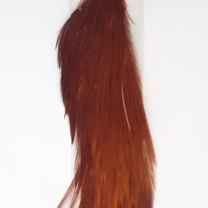 Demi cou de coq génétique Brown