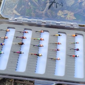 Séléction Perdigones