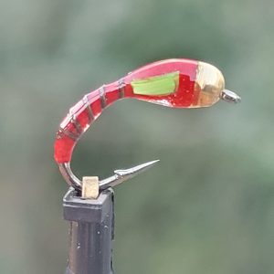 Epoxy buzzer bille 4