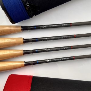 Scions cannes Stratège