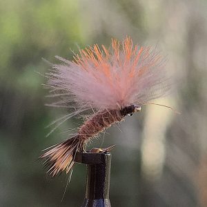 Ange naturel tag orange