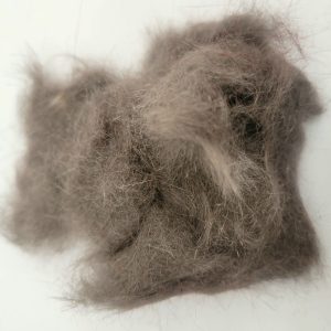 Dubbing écureuil GRIS