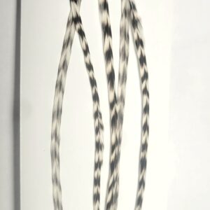 Lancettes de coq grizzly