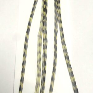 Lancettes de coq Grizzly olive