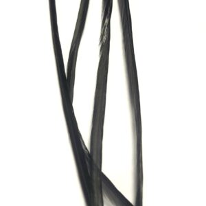 Lancettes de coq Black