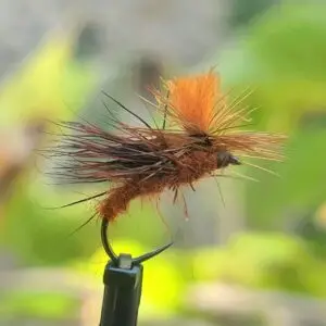 Tabanas SA Brown Tag orange