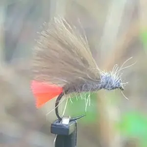 SA14