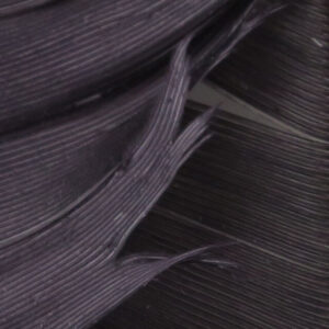 Plumes de Dinde - Turkey Biot Quills HARELINE - Trico